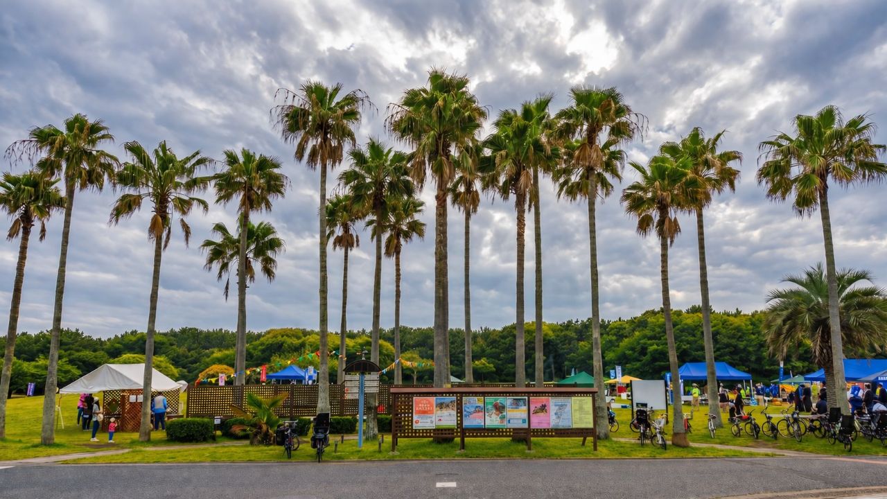 【活動報告】サバイバル・ファーストエイド!辻堂海浜公園で学ぶ応急手当と熱中症対策